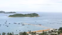 Co To moves toward sustainable seafood sector