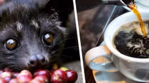 Ca phe chon among world’s five types of weird coffee around the world