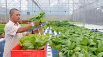 High-tech farming development sluggish
