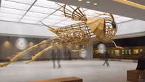 “Adventures of a Cricket – Touch the world” exhibition opens in Hanoi 