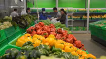 Vegetable, fruit exports hit US$2.7 billion in eight months