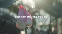 CNN releases “Why not Vietnam” tourism video 