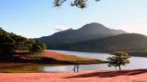 First Pink Grass Festival to open in Da Lat 
