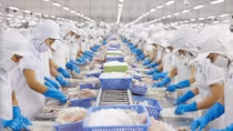 Vietnam’s seafood makes great strides for removal of EU yellow card