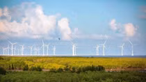Vietnam renewable energy week to open on August 21