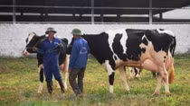 HCM City looks to beef up agriculture cooperation with Australia
