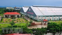 Thua Thien-Hue rakes in US$667.8 million from exports