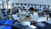 Firms have high hopes on EVFTA