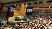 Vietnam a trustworthy partner for sustainable peace: top leader