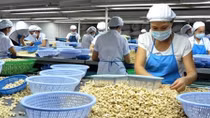 Exporters urged to accelerate REX registration