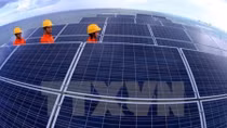 Solar energy investors racing for incentives