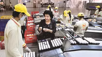 ADB supports for Women-Led SMEs in Viet Nam and Pacific
