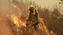 California Wildfires Now Worst in State History as Death Toll Climbs to 38