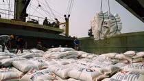 Rice exports hit almost US$2.5 billion