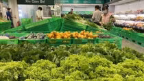 Ministry develops measures to distribute agro products amid pandemic