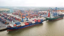 Domestic exporters face difficulties amid COVID-19 pandemic 