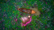 Vietnamese wins prize at int’l flycam photography contest