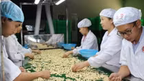 Agro-forestry-fishery exports exceed US$3 billion in January