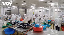 Seafood exports to surge if EU removes yellow card