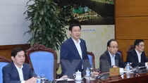 Meeting reviews government’s resolution on business development