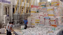 Vietnam looks to put rice on Europe’s plate