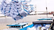 Bright outlook for Vietnamese rice exporters later this year