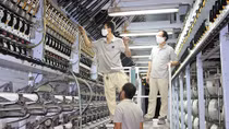 VNPOLY becomes fiber supplier for ADIDAS and TARGET 