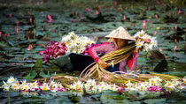 Floods immerse An Giang in breathtaking beauty