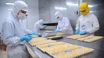 Vietnam’s shrimp exports rake in US$1.7 billion H1