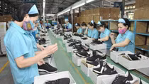 Decree set to benefit 300 goods from CPTPP tariff cuts