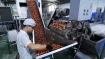 Vietnam targets US$10 billion from fruit, vegetable exports by 2030