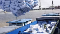 IMF: Vietnamese economy to see full recovery in 2021