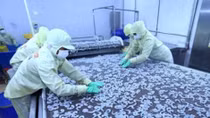 Local firms prepare for CPTPP’s strict regulations