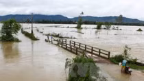 HCM City raises fund for flood-hit people in north, central