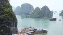 Vietnamese, Chinese businesses seek cooperation opportunities