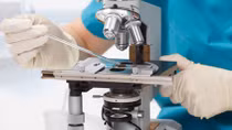 Human Trials of Stem Cell Therapy for Parkinson’s Disease to Begin in Japan