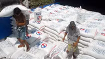 Seminar discusses exports to Cuban market