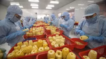 Vegetable, fruit exports to struggle