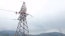 Electricity sector urged to reduce power loss