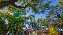 Hue kite festival 2019 opens in Tu Tuong park