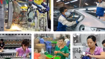 Vietnamese enterprises make the most of EVFTA
