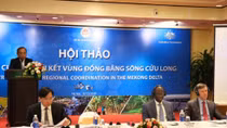 Experts seek solutions to strengthen connectivity in Mekong Delta