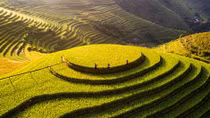 Mu Cang Chai among top 50 beautiful destinations globally