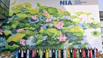 Mural paintings on lotus at Noi Bai International Airport inaugurated