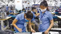 Businesses continue to utilise incentives from EVFTA