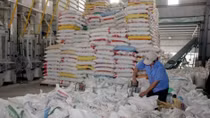 Promising future for rice exporters