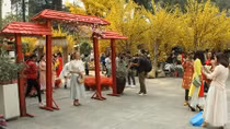 Vietnamese Tet Festival to open in HCMC