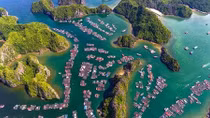Protect pristine beauty of Lan Ha Bay: Hollywood hero DiCaprio