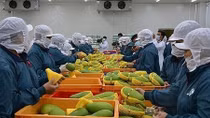 Local fruit and vegetable sector sets export target of US$3.6 billion