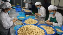 Non-tariff barriers hinder exporters